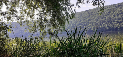 Риболовля в селі Ратищах в Тернопільській області