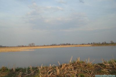 Рыбалка в селе Дубины в Львовской области-2