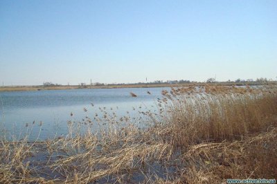 Рыбалка в селе Дубины в Львовской области-1