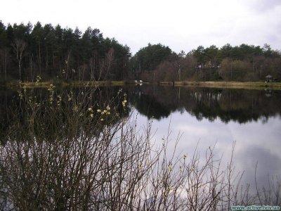 Рыбалка в селе Лелеховка в Львовской области-2