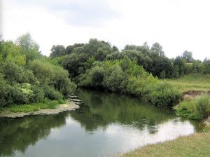 Рыбалка в селе Шубков в Ровенской области-1