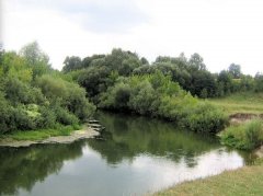 Рыбалка в селе Шубков в Ровенской области-1