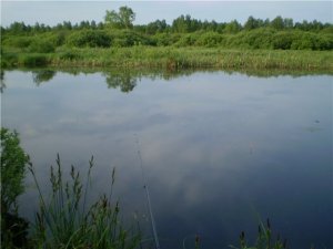 Рыбалка в селе Волошки в Ровенской области-2