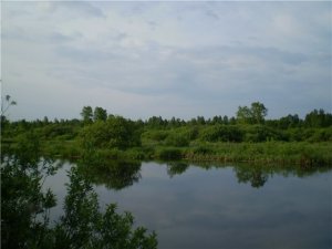 Рыбалка в селе Волошки в Ровенской области-3