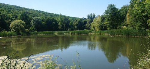 Риболовля в місті Скалат Тернопільської області