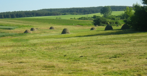 Риболовля в Цеценівці Тернопільської області