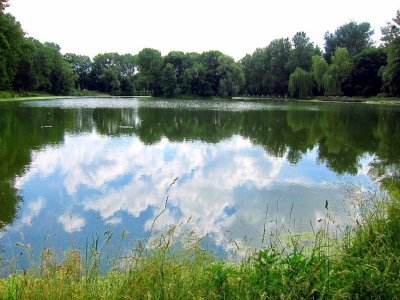 Рыбалка в Яблонове Тернопольской области-2