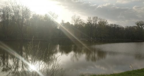 Риболовля в  селі Яблунів в Тернопільській області