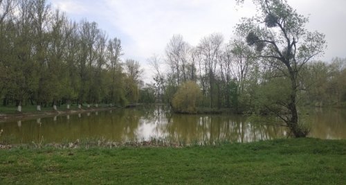 Риболовля в  селі Яблунів в Тернопільській області