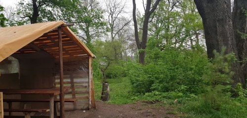 Риболовля в  селі Яблунів в Тернопільській області