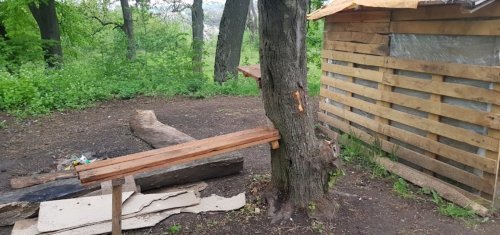 Риболовля в  селі Яблунів в Тернопільській області