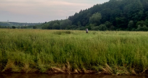 Риболовля в Збаражі Тернопільської області