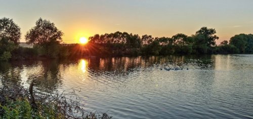 Риболовля в Зборові Тернопільської області