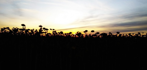 Риболовля в Жеребках Тернопільської області