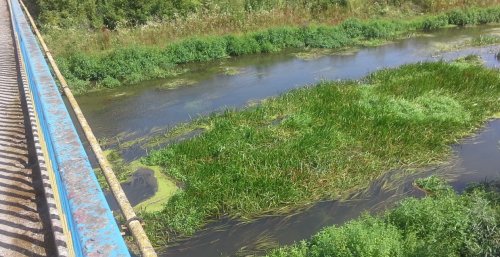 Риболовля біля Бучача Тернопільської області