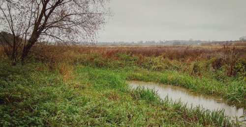 Риболовля біля Бучача Тернопільської області