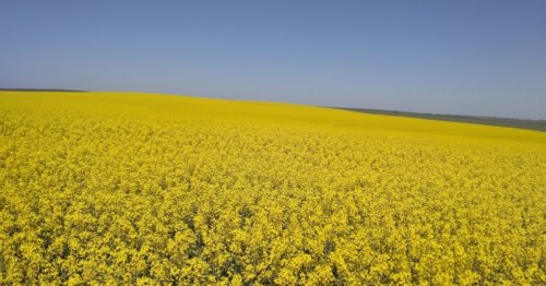 Риболовля біля Бучача Тернопільської області