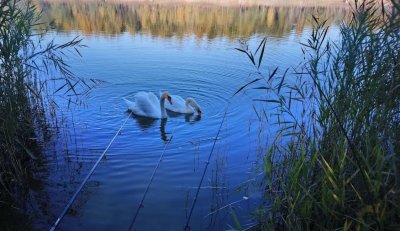 Рыболовно-охотничья база «Воронуха»
