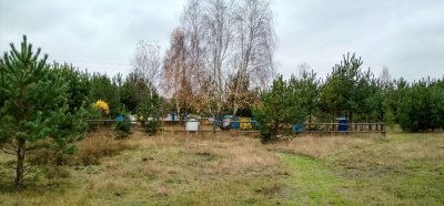 Рыболовно-охотничья база «Воронуха»