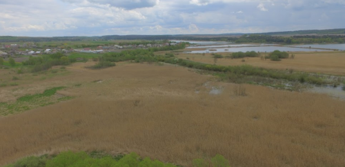 Залозецький став у Тернопільській області