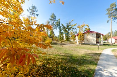 gal_37c45147dee729311ef5b5c3003