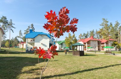 gal_3716a5cdae362b8d27a1d8f8c7b