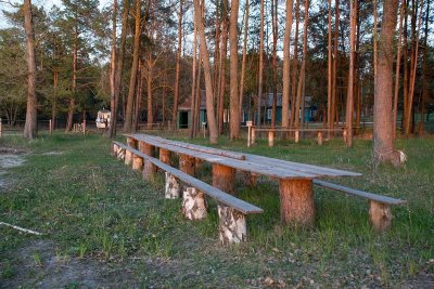 57503661_315064289163874_590759084978864128_n