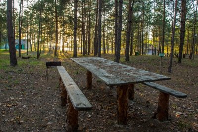 57989059_315071532496483_26779069550952448_n