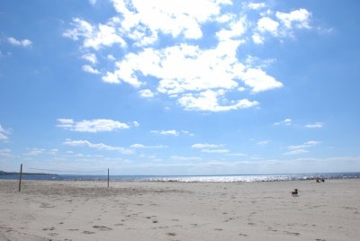 57104210_315051409165162_874306318985330688_n