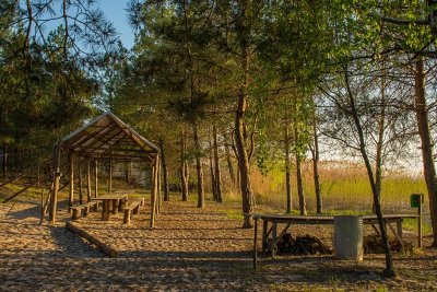 57154851_315071579163145_6163797902536736768_n