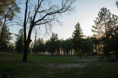 57160084_315071545829815_8464470522745323520_n