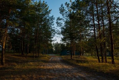 57247005_315071525829817_4816477403494744064_n