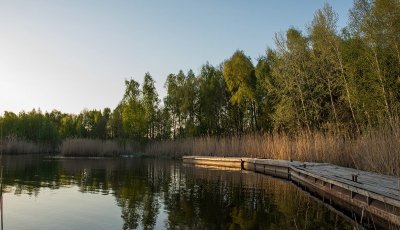 57076261_315071462496490_8870297107756482560_n