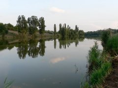 Чемеровецкий став в Хмельницкой области