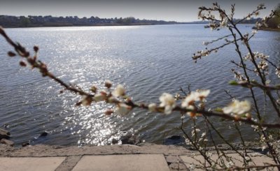 Рыбалка на Дубовском водохранилище