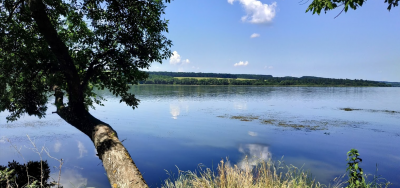 Рибалка на Ладижинському водосховищі у Вінницькій області