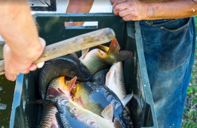 Рыбалка на Озере Карпич