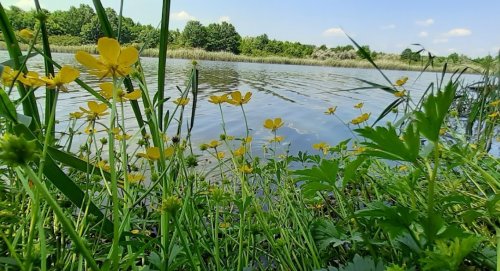 Рыбалка на пруду Ростыня в Харьковской области