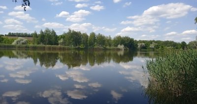 Рыбалка на пруду Ростыня в Харьковской области3