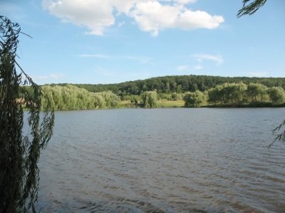 Озеро за Хмельницким аэропортом в Хмельницкой области-2