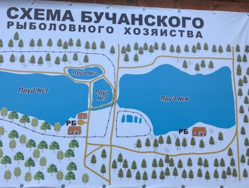 Рыбалка Генеральские озера в Киевской области