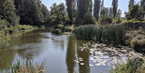 Рыбалка Генеральские озера в Киевской области