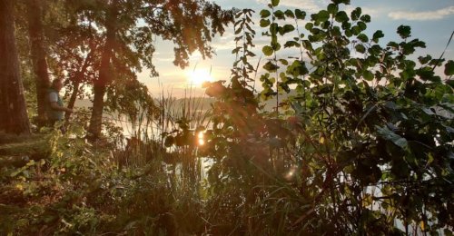 Рыбалка Генеральские озера в Киевской области