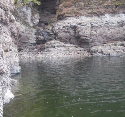 Рыбалка на Днестре в Рудковцах Хмельницкой области