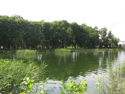 Рыбалка на Левандовском озере в Львовской области-5