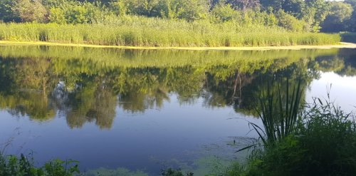 Рибалка на річці Сіверський Донець 