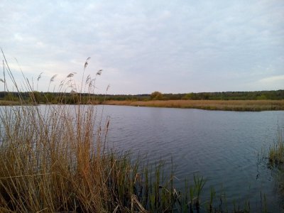 Рыбалка на стрельбище в Хмельницкой области