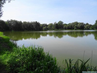 Рибалка на озері біля с. Червоне у Львівській області