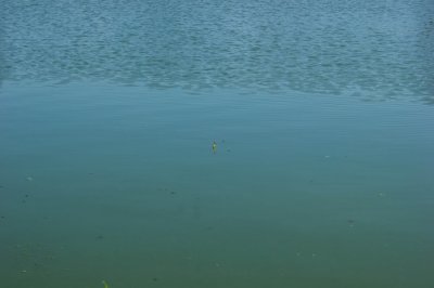 Рибалка на озері біля с. Червоне у Львівській області