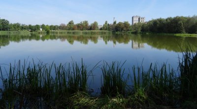 Рибалка на озері біля с. Червоне у Львівській області